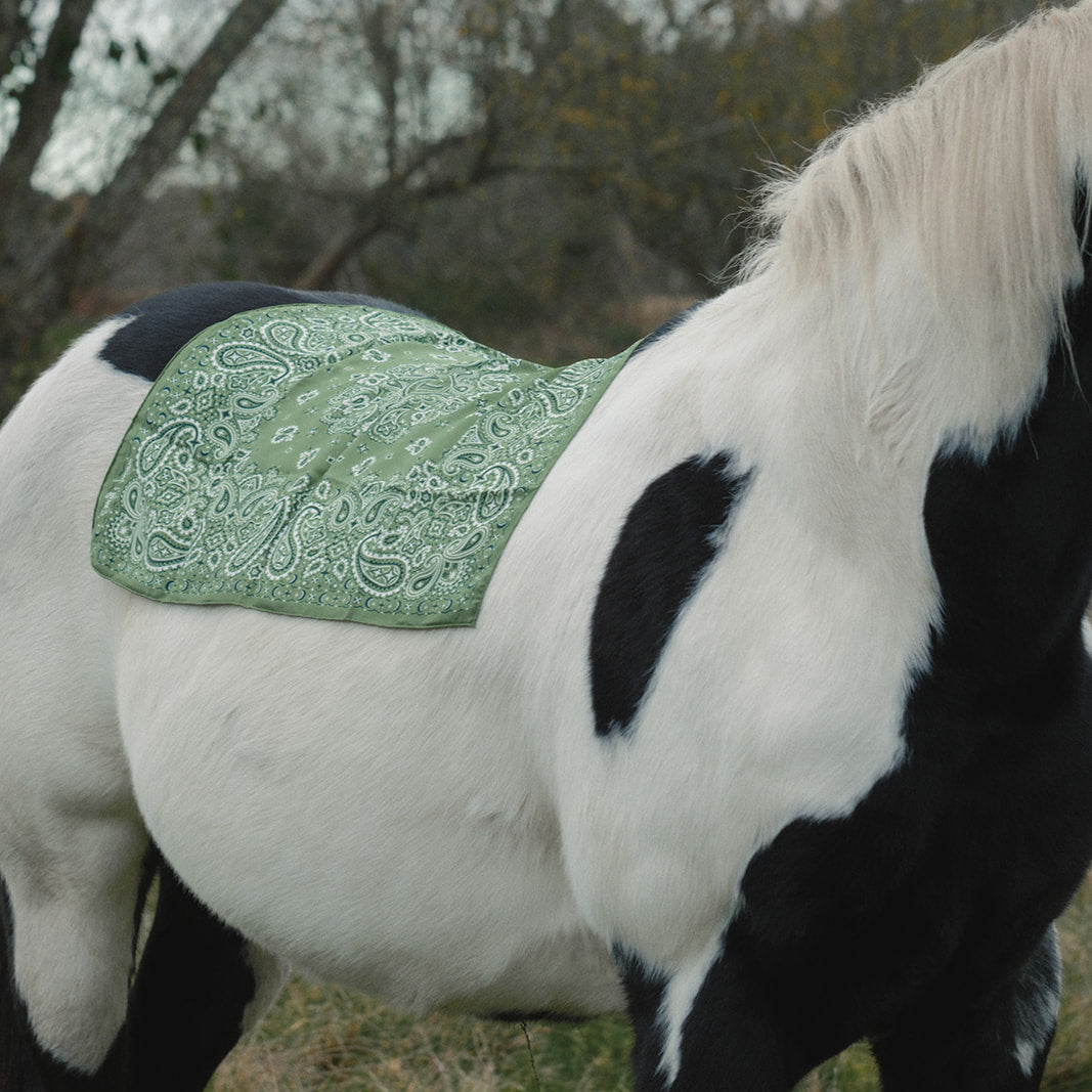 Pañuelo bandana de seda 100 % pura - Verde