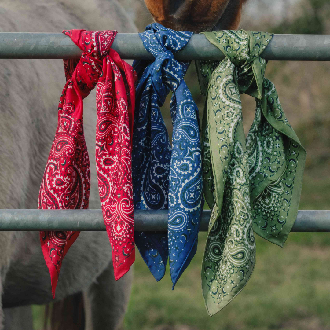 Collection Bandana