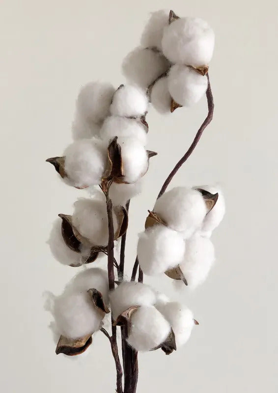 soie vs coton - The silk pillowcase versus the cotton pillowcase 