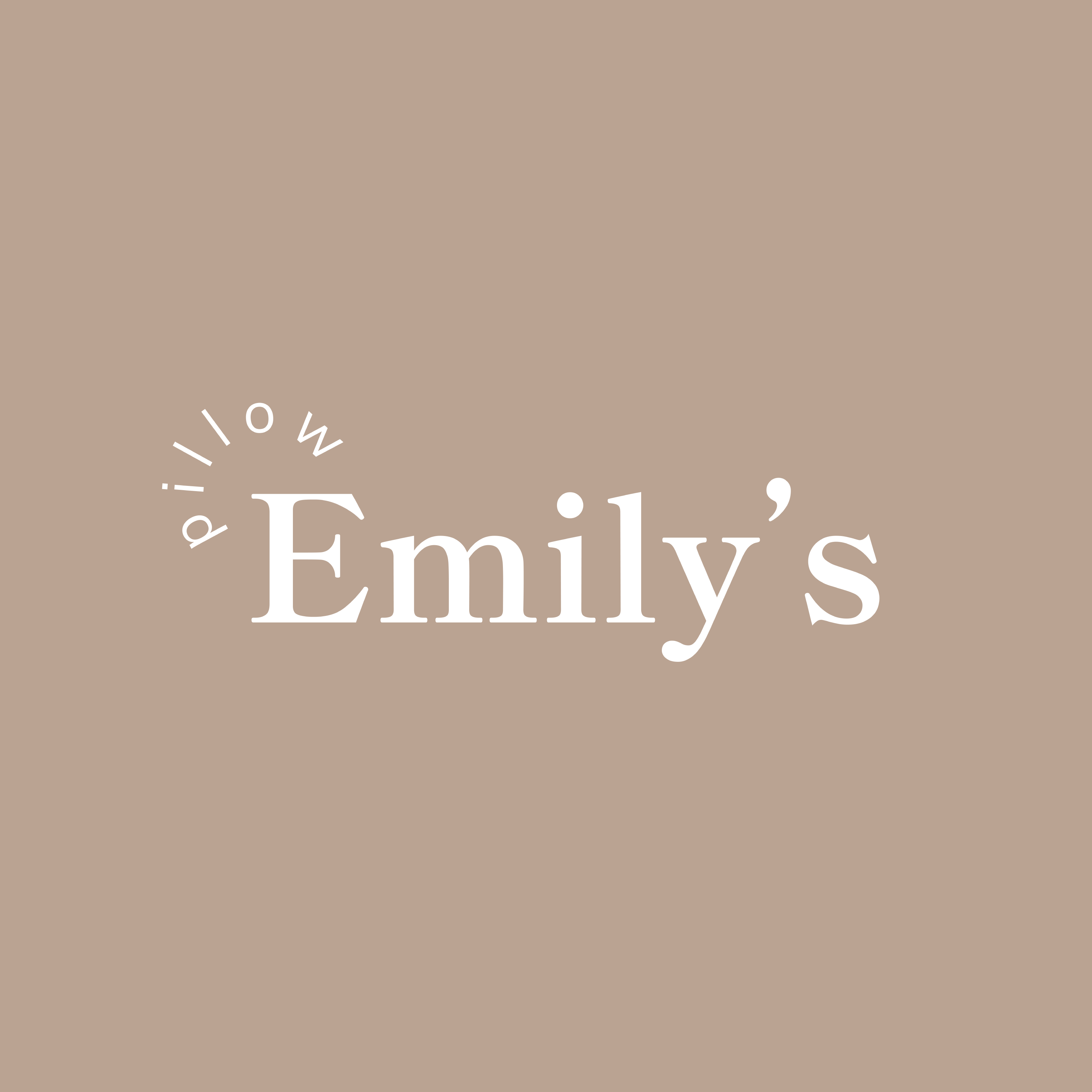 Emilyspillow store logo
